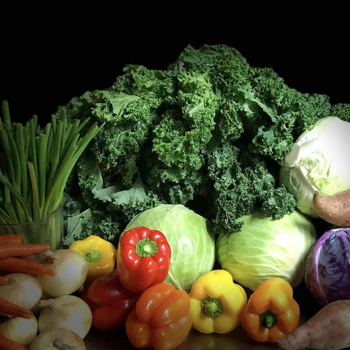 10 DAY KICKSTART - Image 5